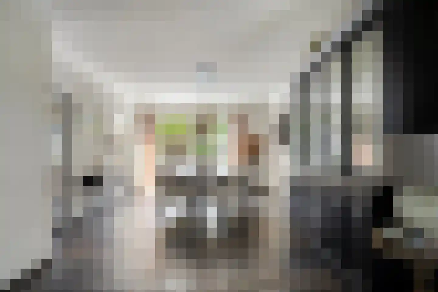 Arend 5 Etten-Leur thumbnail 13