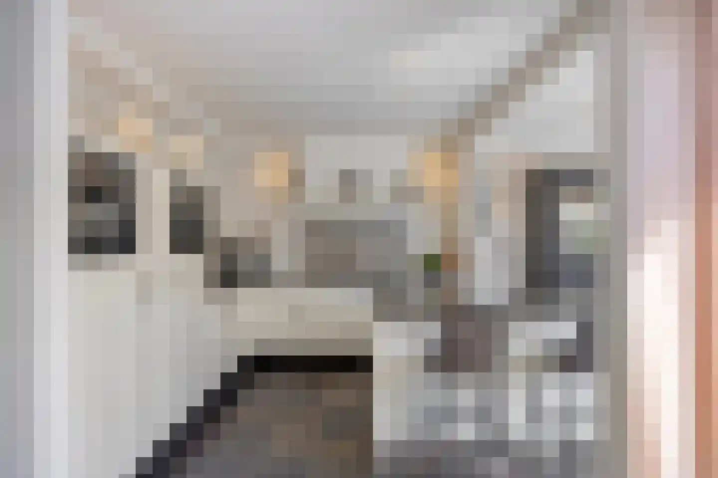 Arend 5 Etten-Leur thumbnail 18