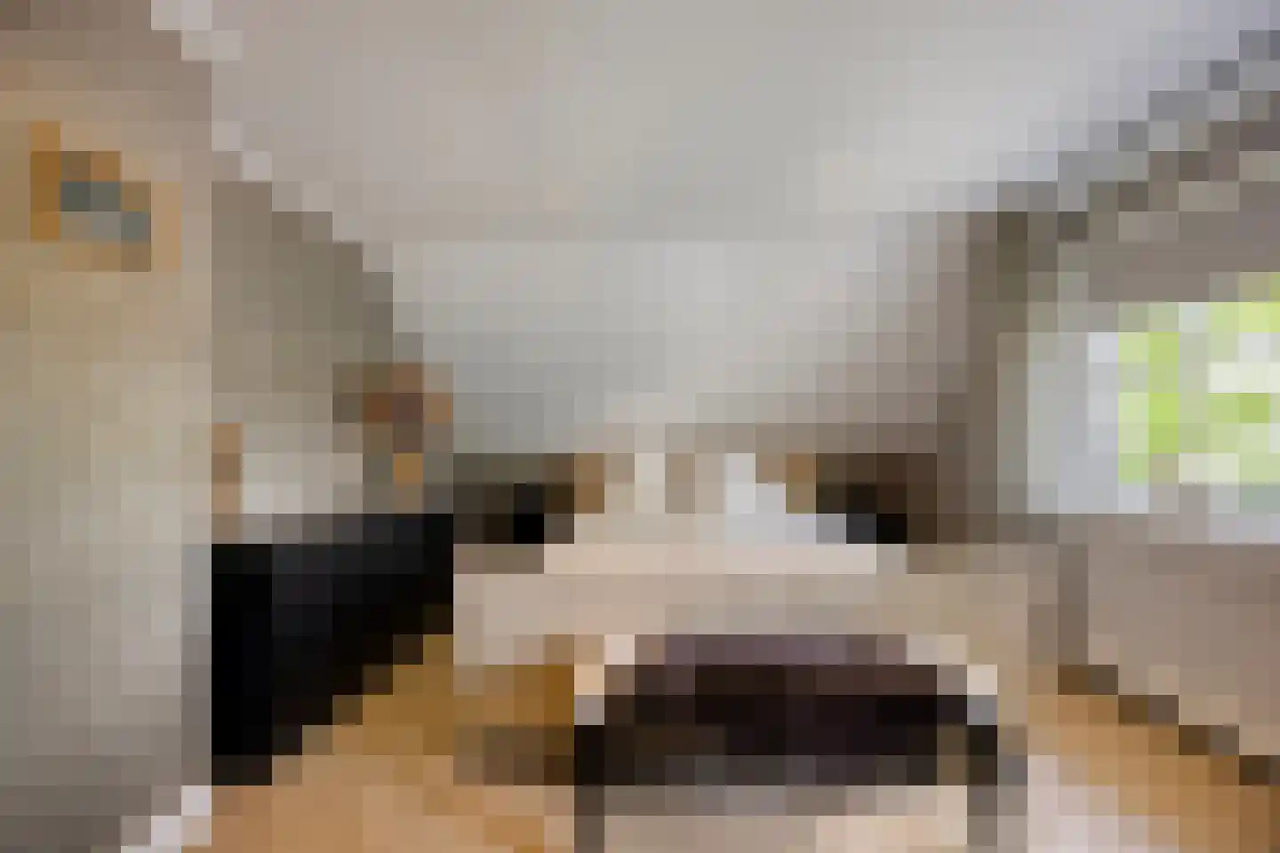 Arend 5 Etten-Leur thumbnail 27