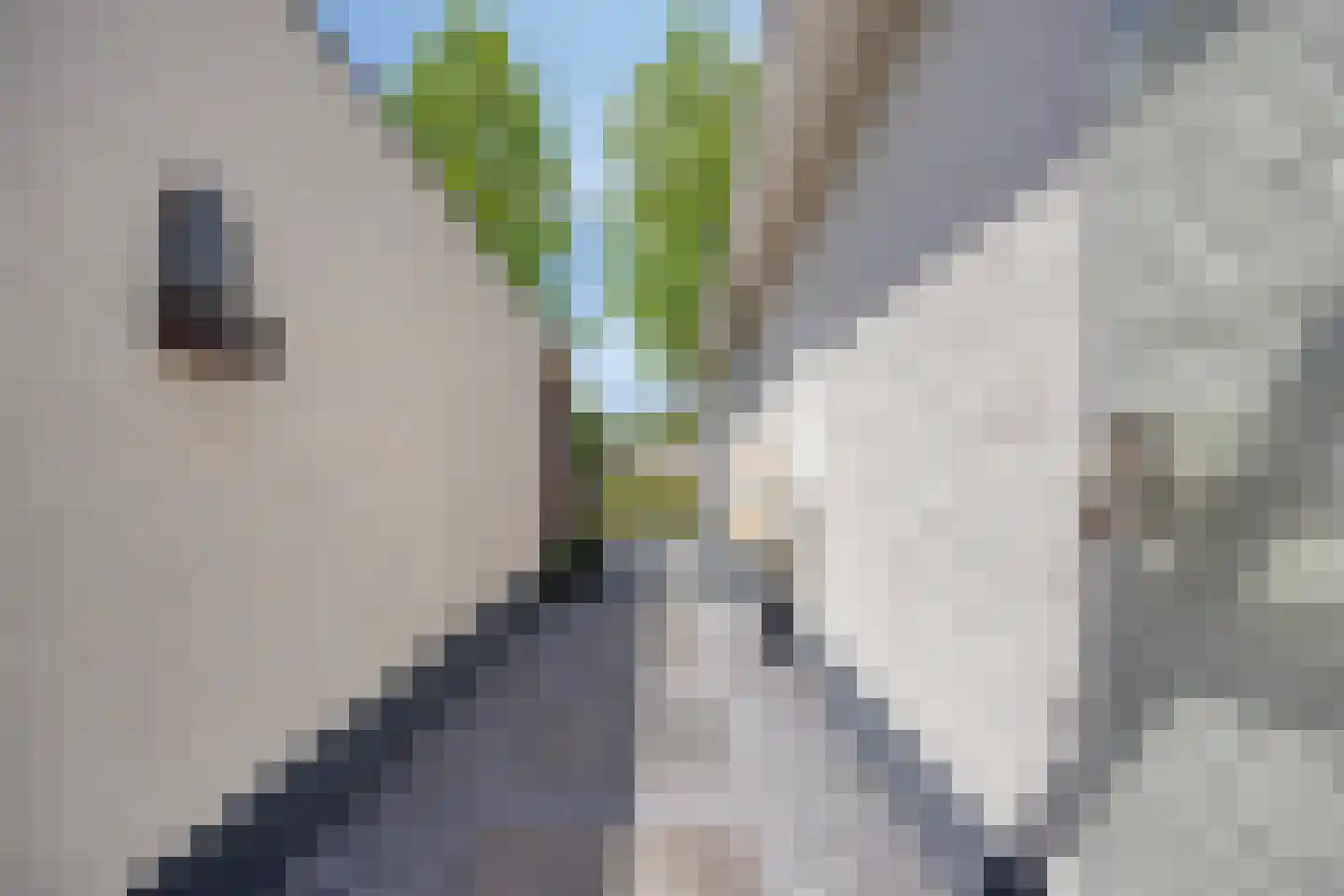 Arend 5 Etten-Leur thumbnail 49
