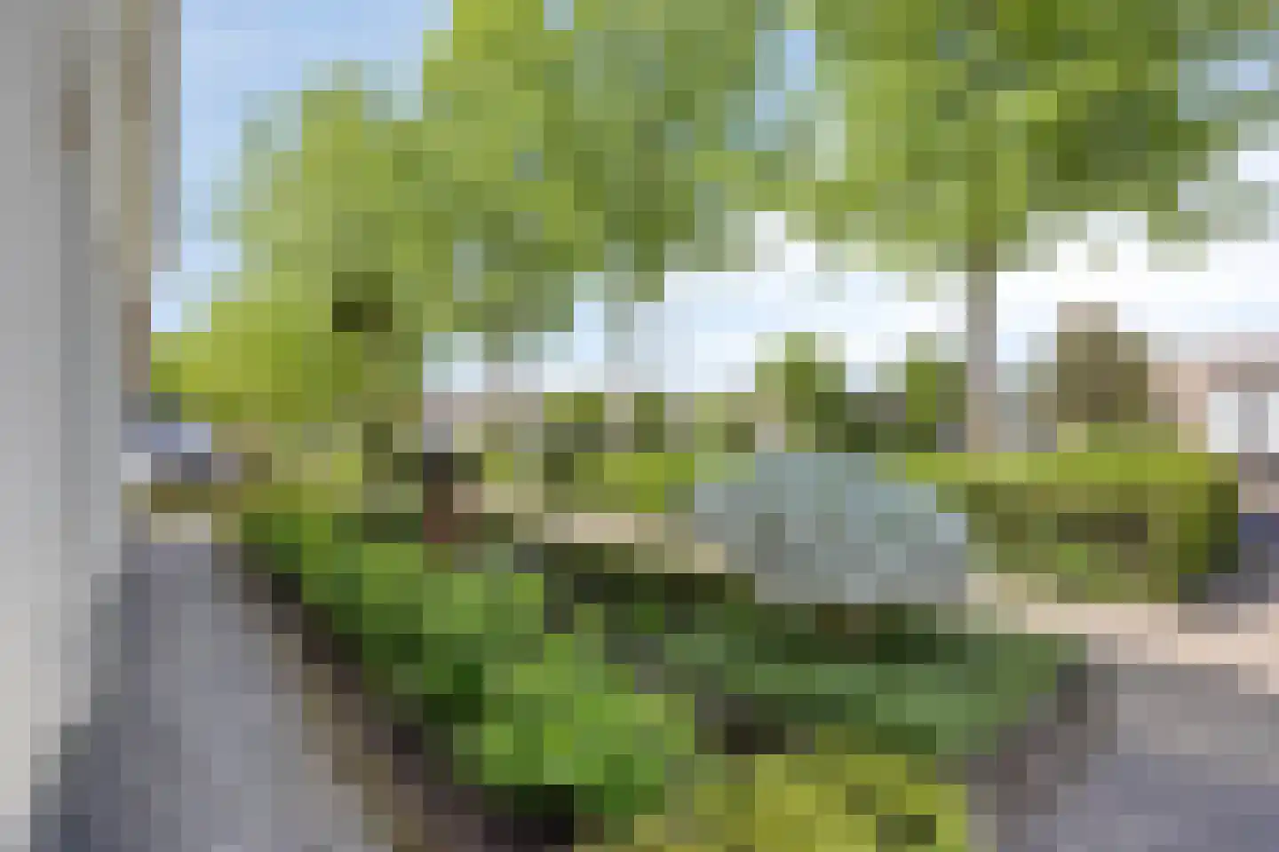Arend 5 Etten-Leur thumbnail 50