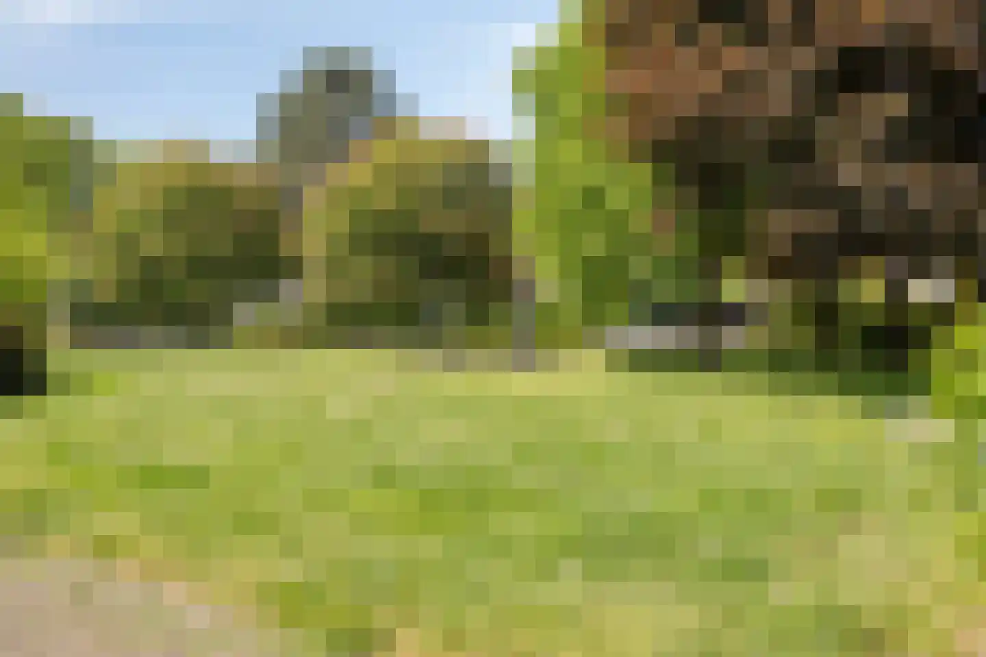 Arend 5 Etten-Leur thumbnail 56