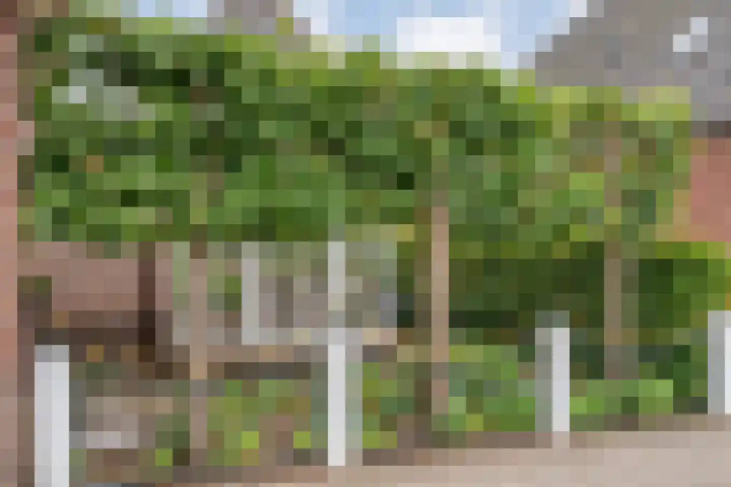 Arend Baanstraat 27 Rijssen thumbnail 100