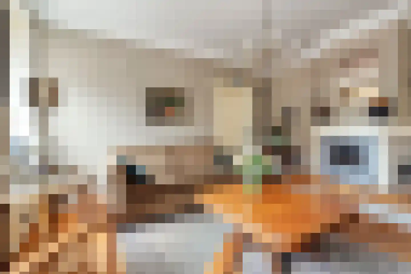 Arend Baanstraat 27 Rijssen thumbnail 14