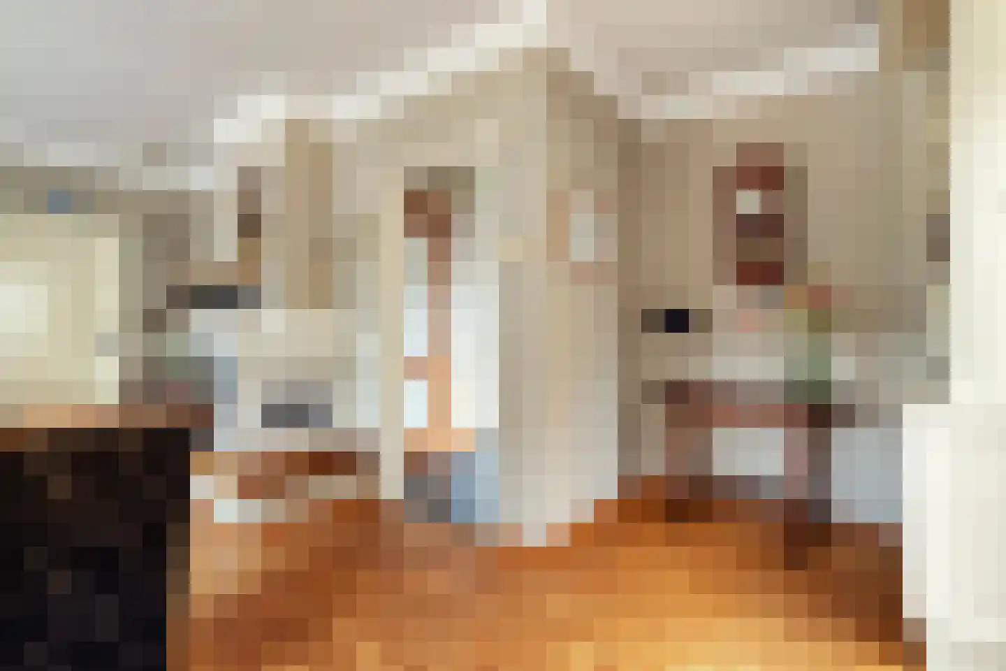 Arend Baanstraat 27 Rijssen thumbnail 15