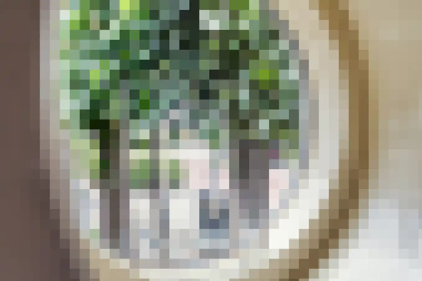 Arend Baanstraat 27 Rijssen thumbnail 18