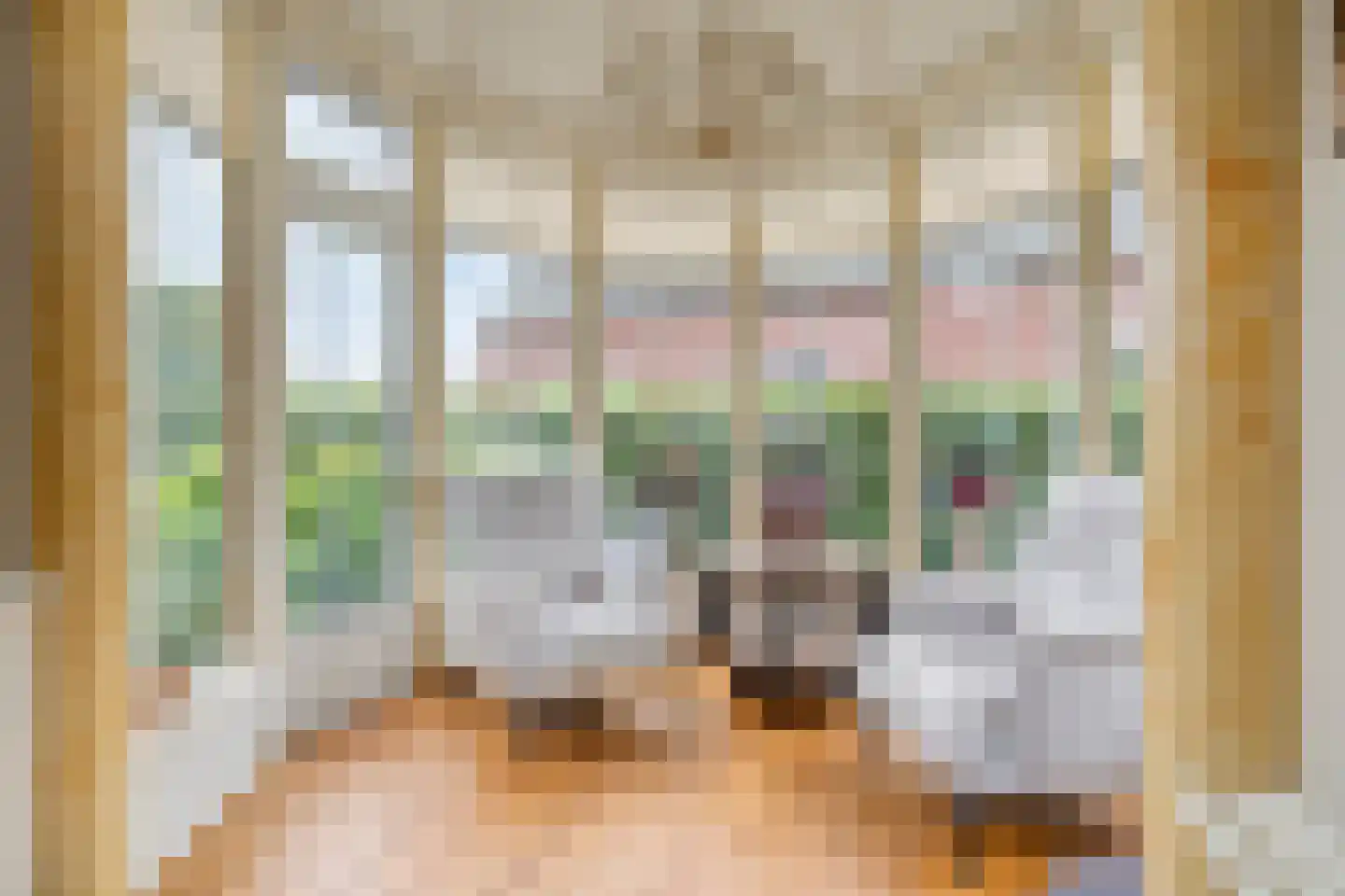 Arend Baanstraat 27 Rijssen thumbnail 21