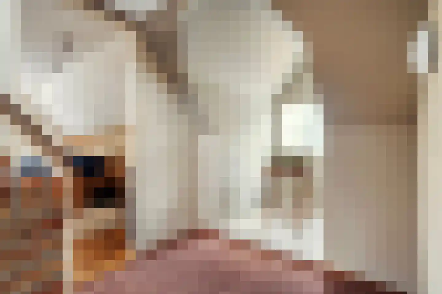 Arend Baanstraat 27 Rijssen thumbnail 35