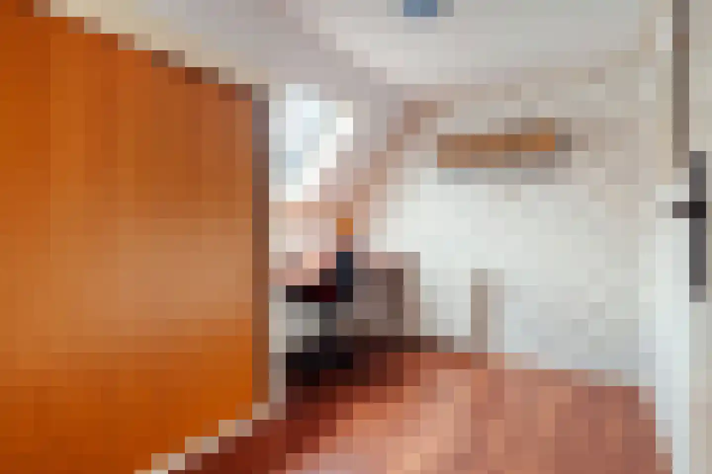 Arend Baanstraat 27 Rijssen thumbnail 39