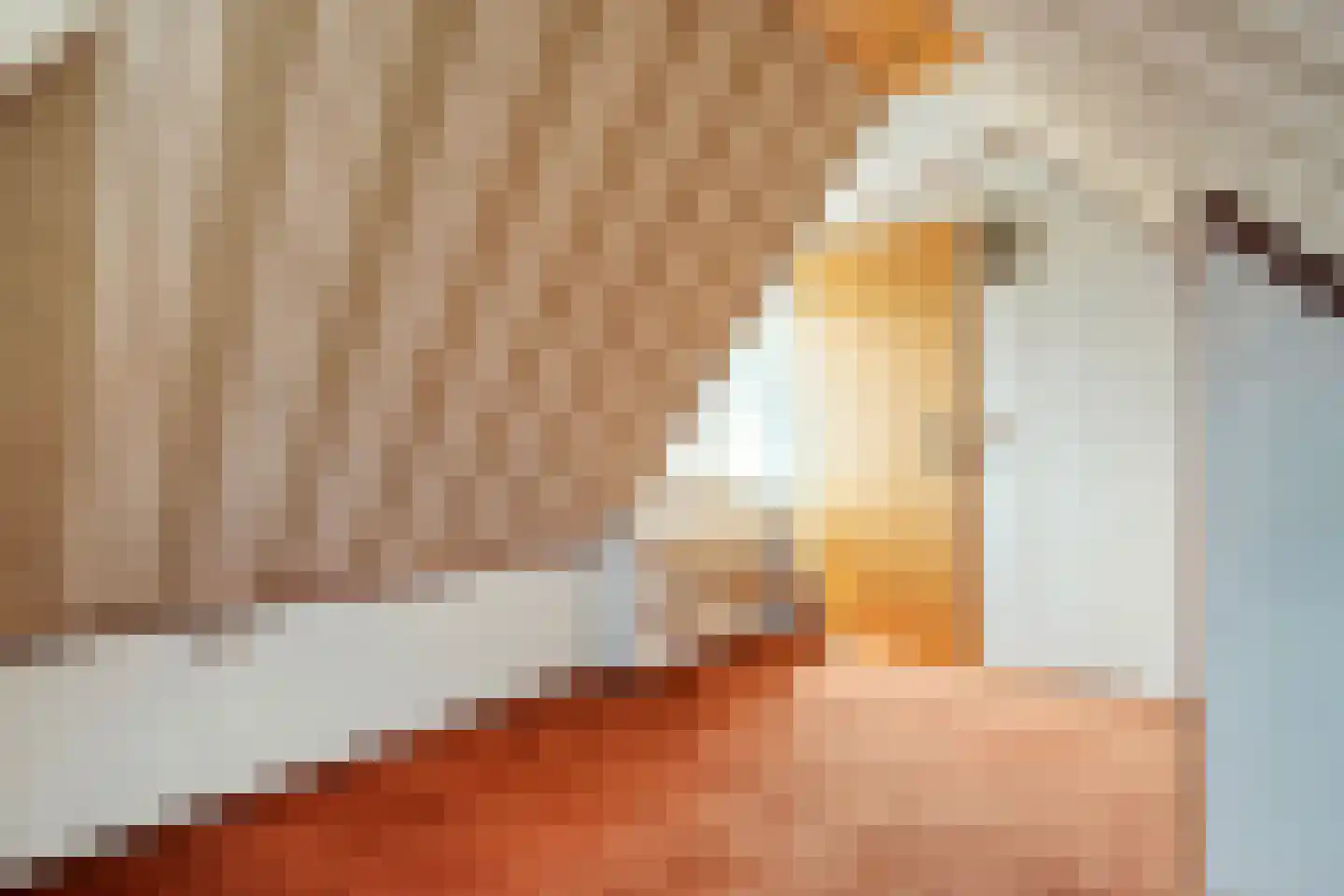Arend Baanstraat 27 Rijssen thumbnail 49