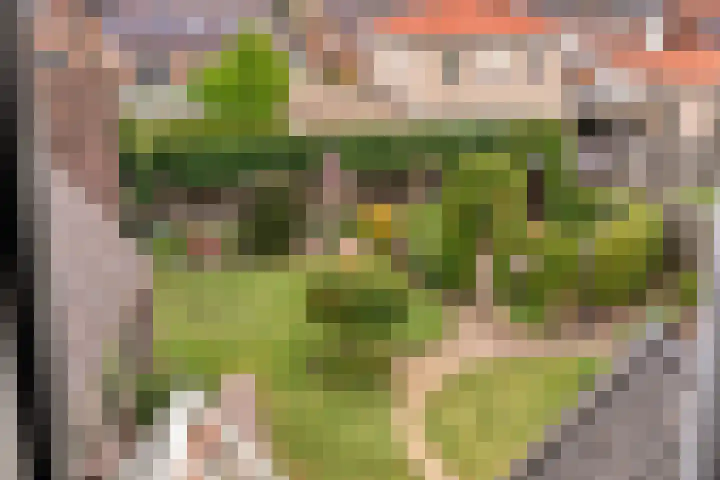 Arend Baanstraat 27 Rijssen thumbnail 50