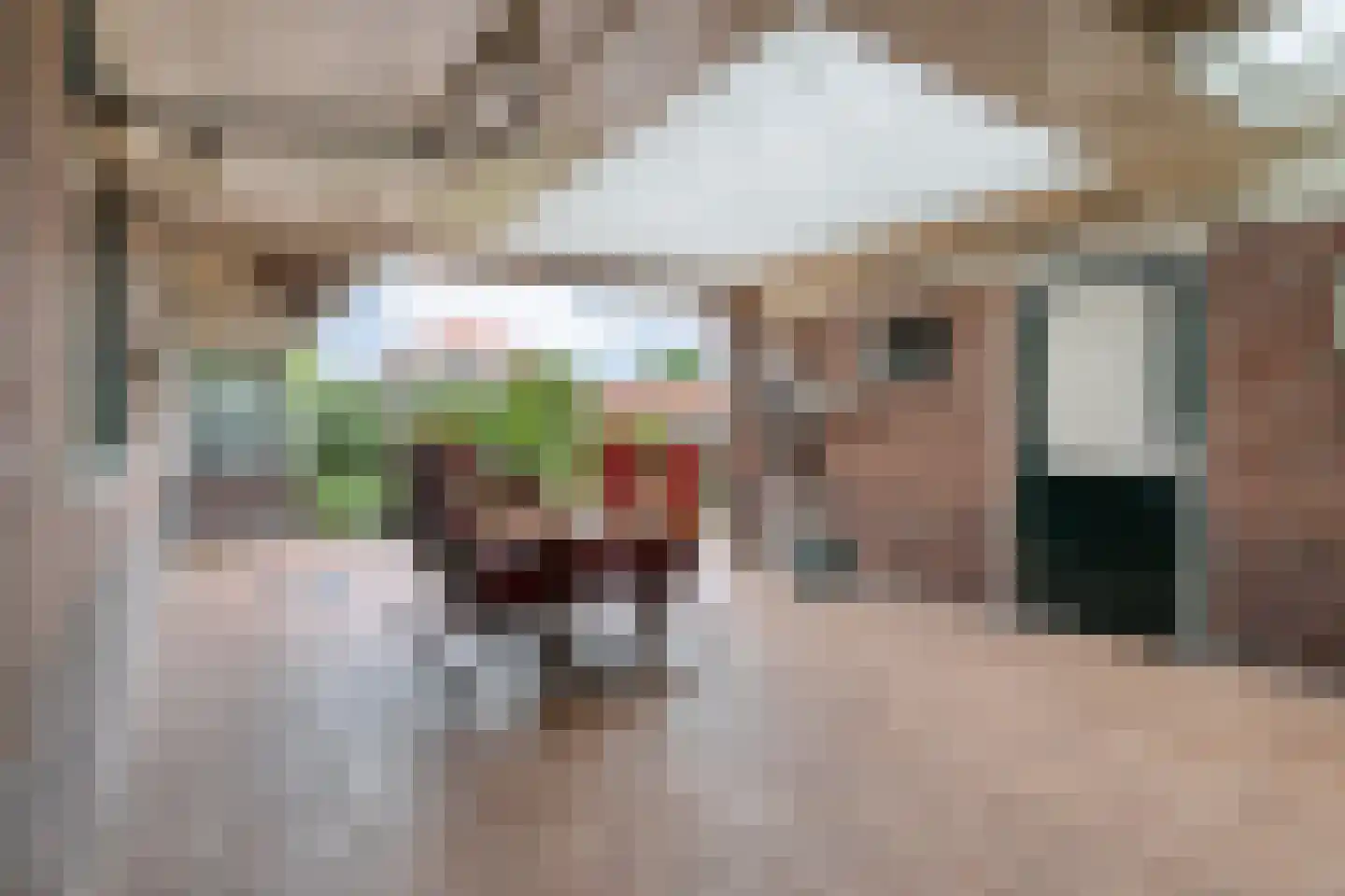 Arend Baanstraat 27 Rijssen thumbnail 67