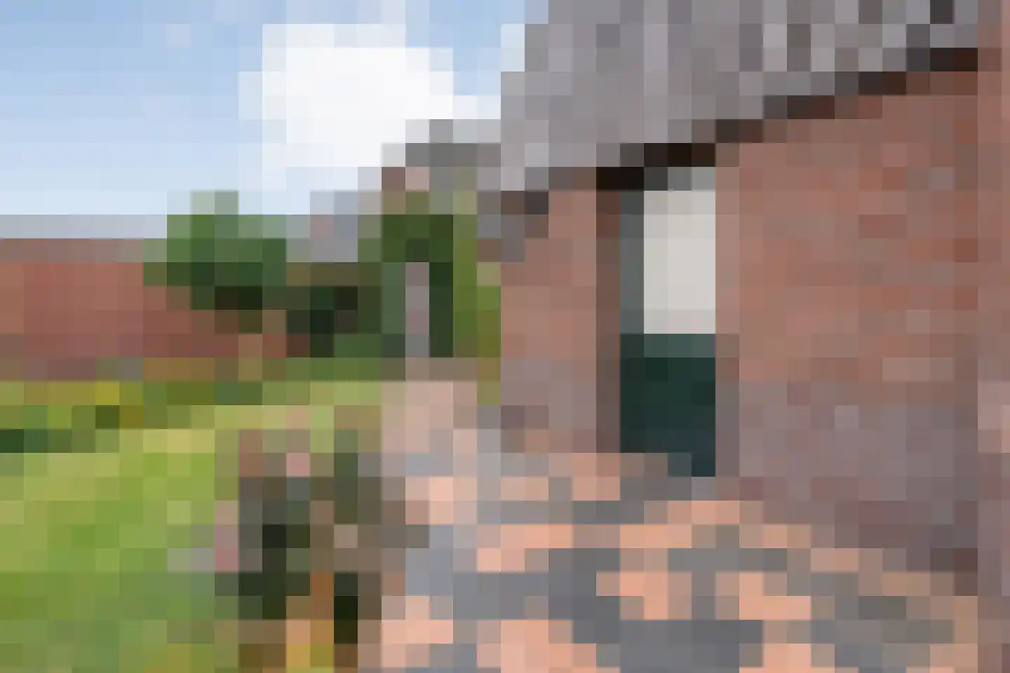 Arend Baanstraat 27 Rijssen thumbnail 70