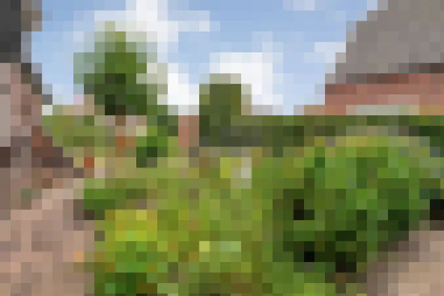 Arend Baanstraat 27 Rijssen thumbnail 76