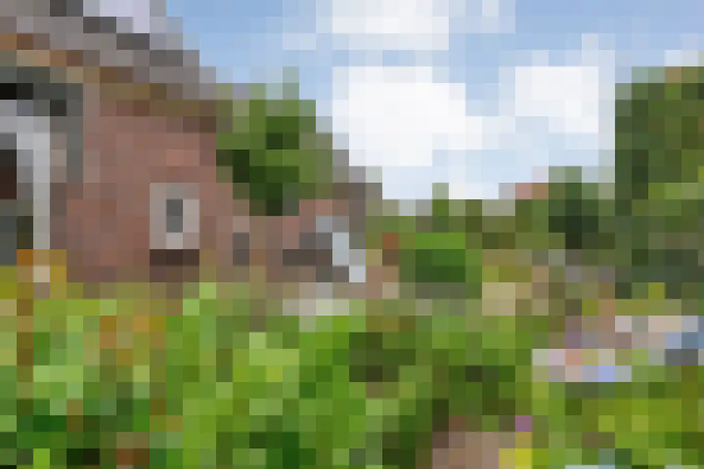 Arend Baanstraat 27 Rijssen thumbnail 77