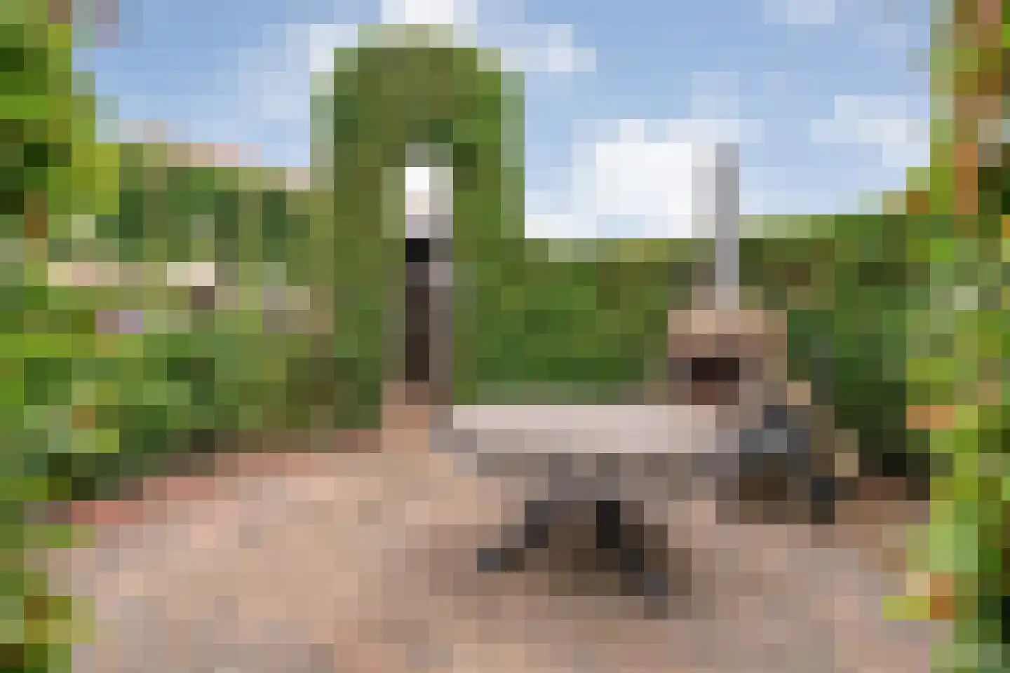 Arend Baanstraat 27 Rijssen thumbnail 80