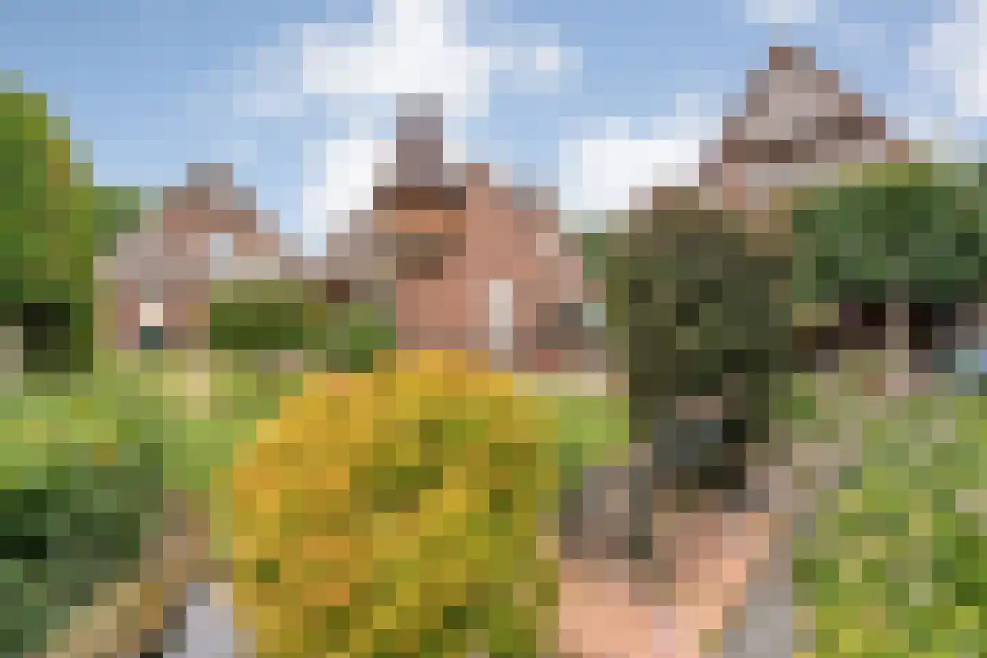 Arend Baanstraat 27 Rijssen thumbnail 83