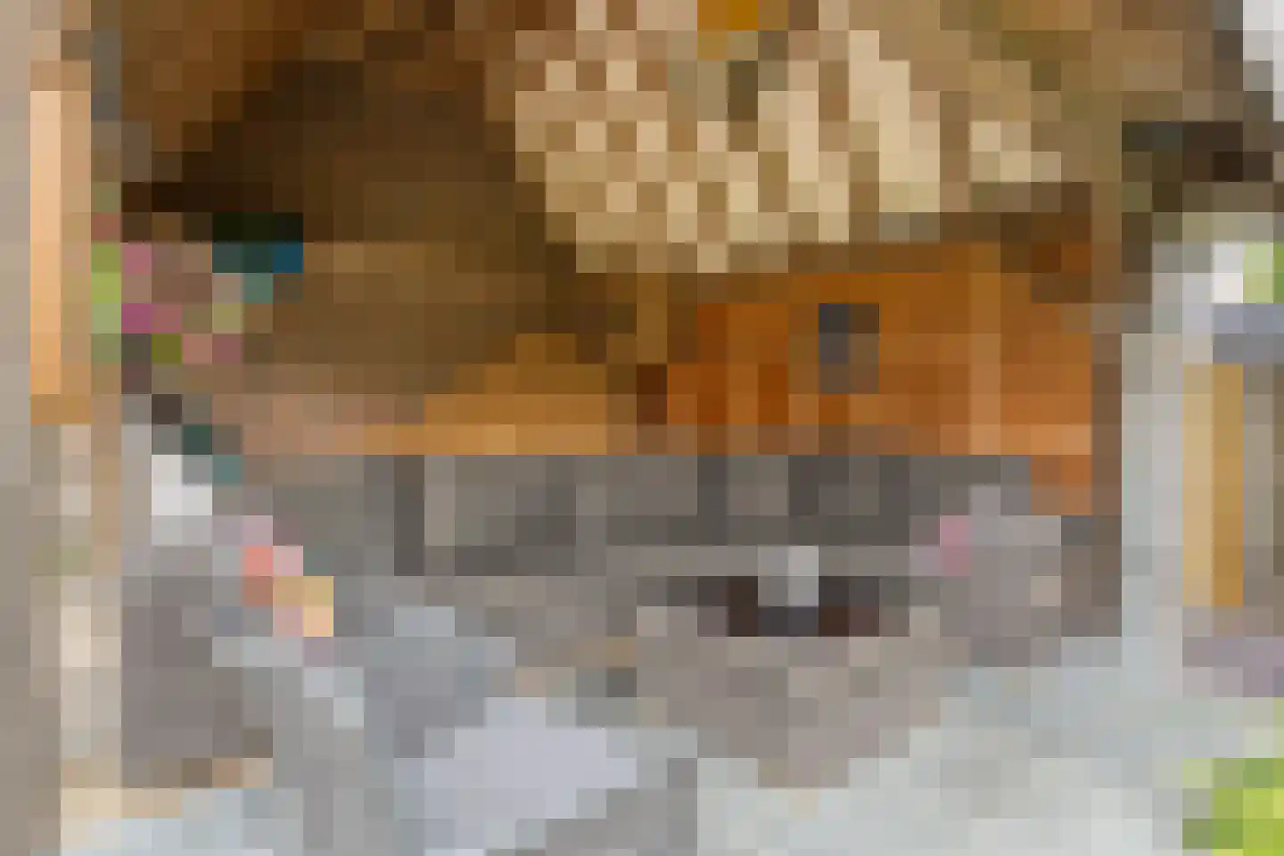 Arend Baanstraat 27 Rijssen thumbnail 89