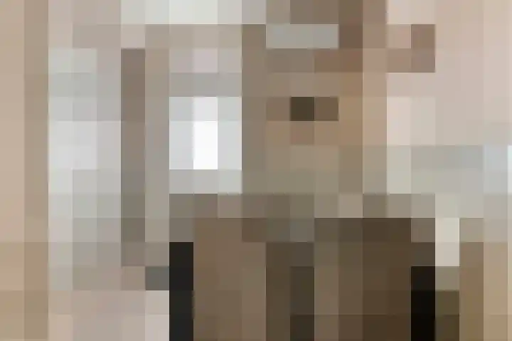 Arend Baanstraat 41 Rijssen thumbnail 12