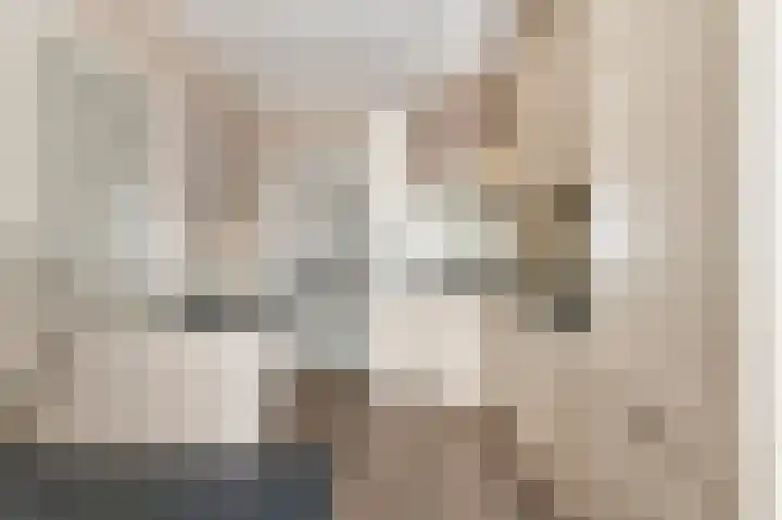 Arend Baanstraat 41 Rijssen thumbnail 13