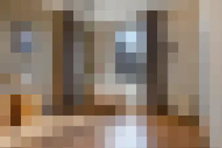 Arend Baanstraat 41 Rijssen thumbnail 17