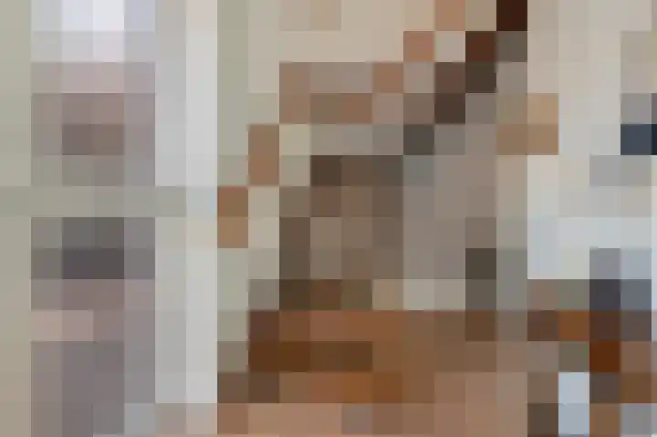 Arend Baanstraat 41 Rijssen thumbnail 20