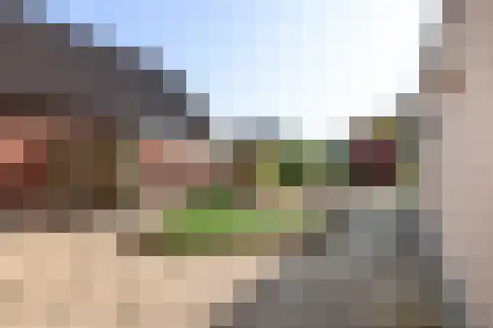 Arend Baanstraat 41 Rijssen thumbnail 35