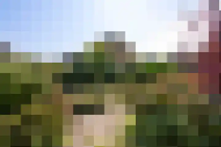 Arend Baanstraat 41 Rijssen thumbnail 38