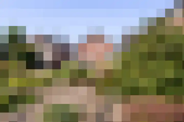 Arend Baanstraat 41 Rijssen thumbnail 39