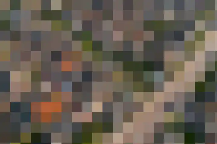 Arend Baanstraat 41 Rijssen thumbnail 41