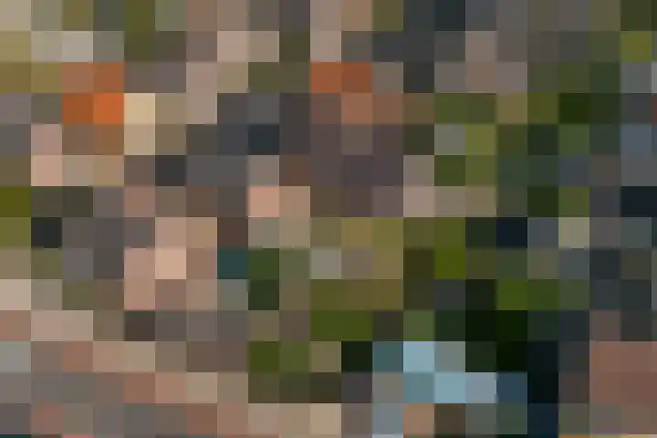 Arend Baanstraat 41 Rijssen thumbnail 42