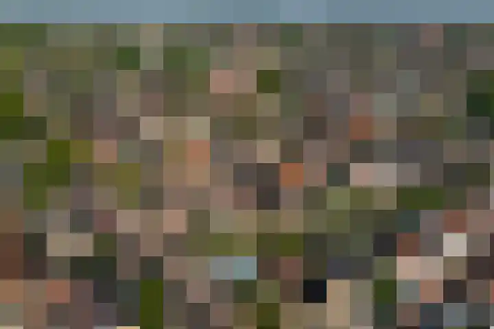 Arend Baanstraat 41 Rijssen thumbnail 43
