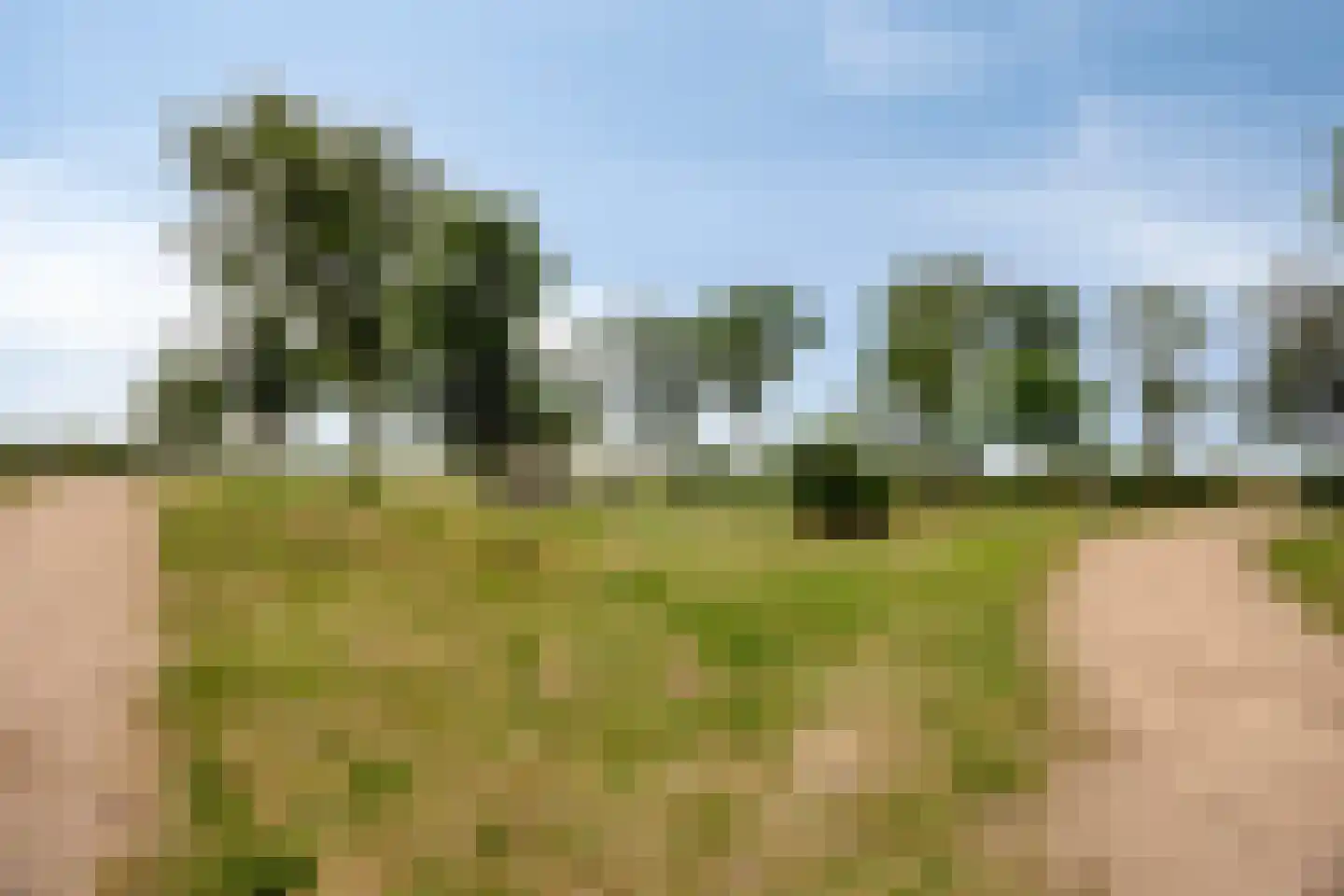 Arend Braatlaan 4 Hekelingen thumbnail 30