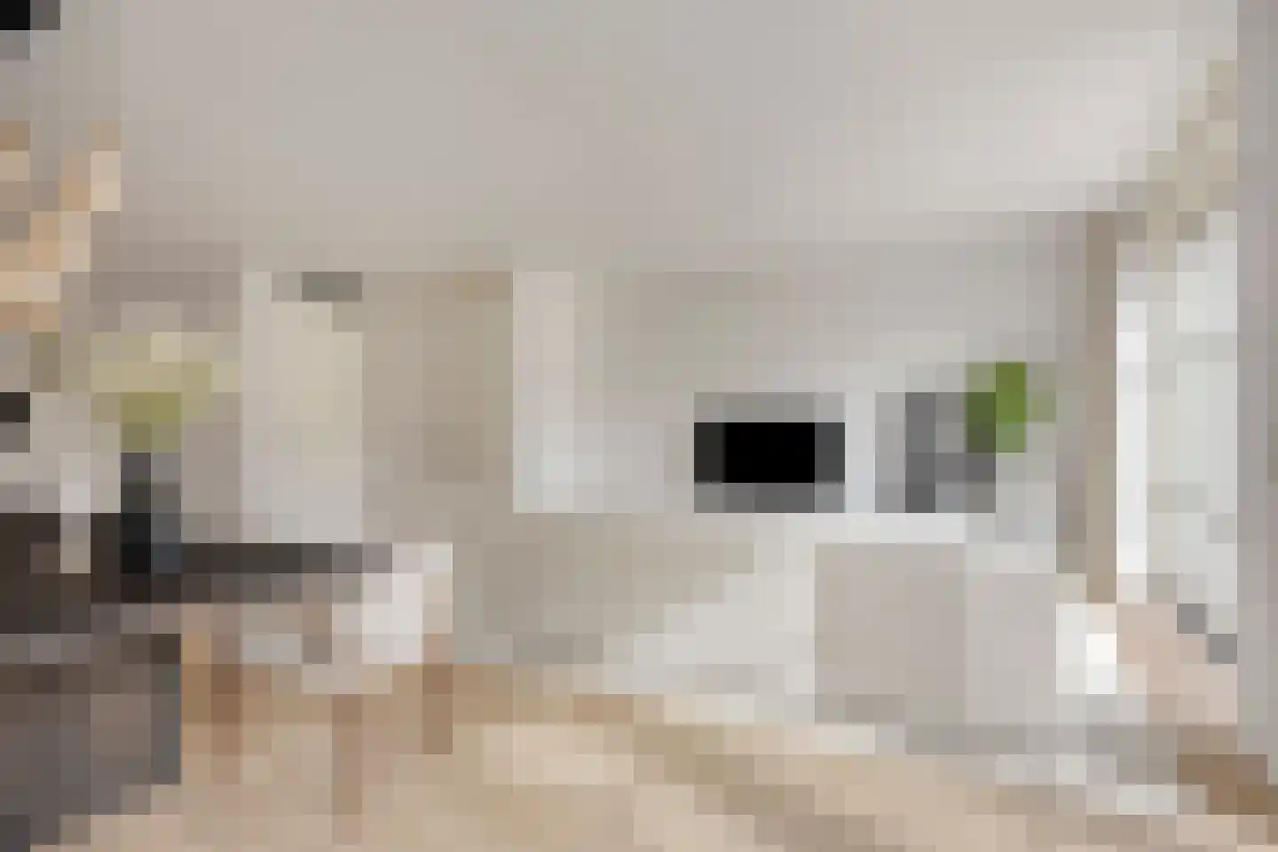 Arend Braatlaan 4 Hekelingen thumbnail 6