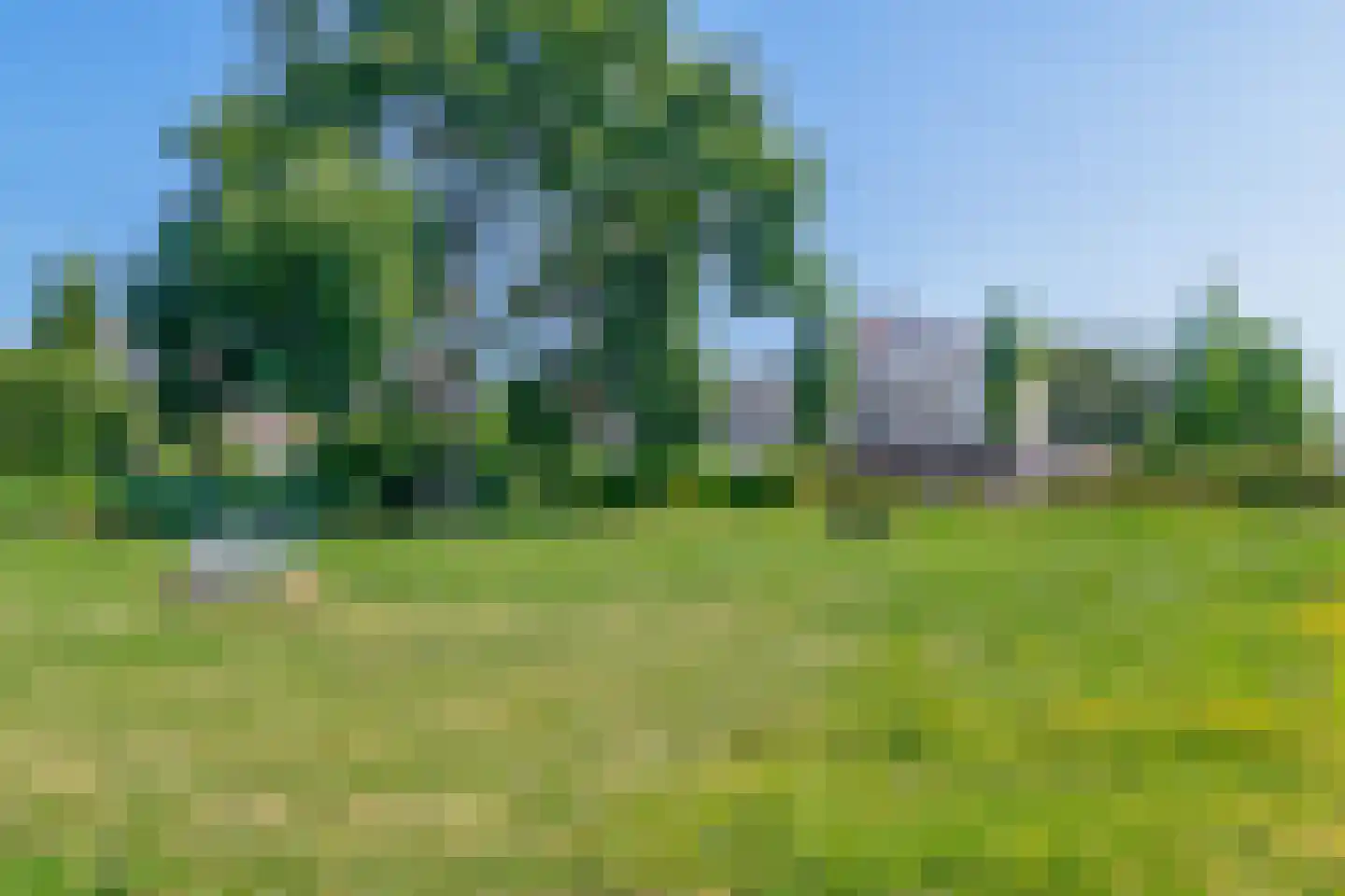 Arend Brinkmanrede 17 Capelle aan den IJssel thumbnail 39