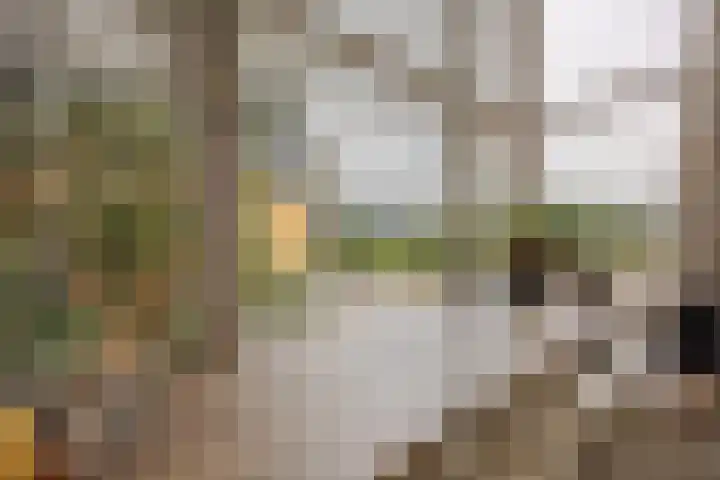 Arend Noorduijnstraat 29 Nijmegen thumbnail 19