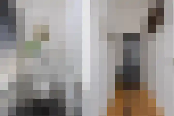 Arend Noorduijnstraat 29 Nijmegen thumbnail 5