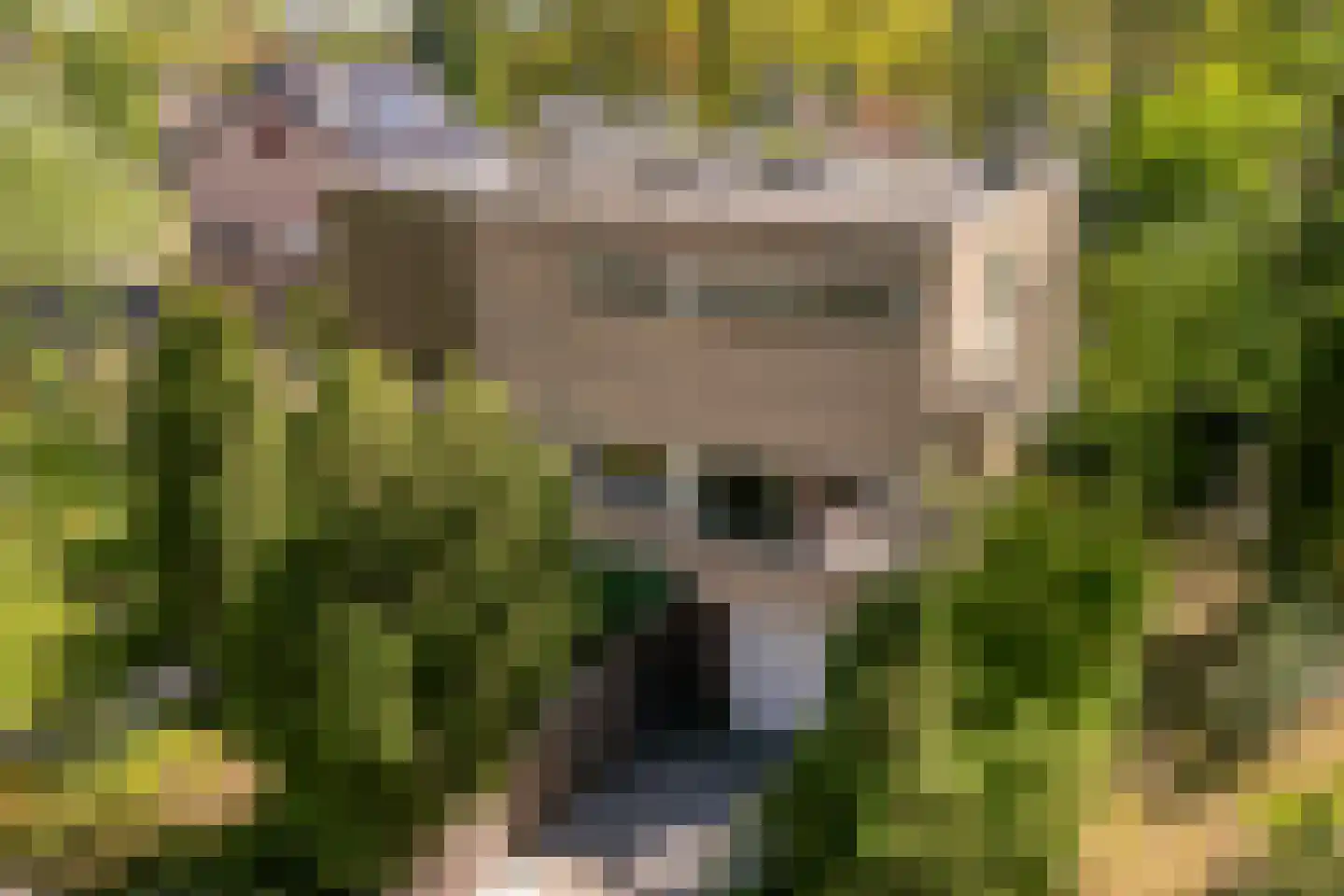 Arend Stegemanweg 3 Nijverdal
