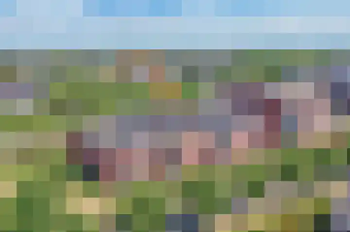 Arend van Arkellaan 31 in Bergambacht