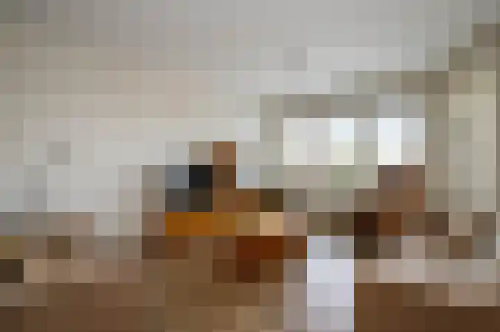 Arend van Arkellaan 31 Bergambacht thumbnail 13