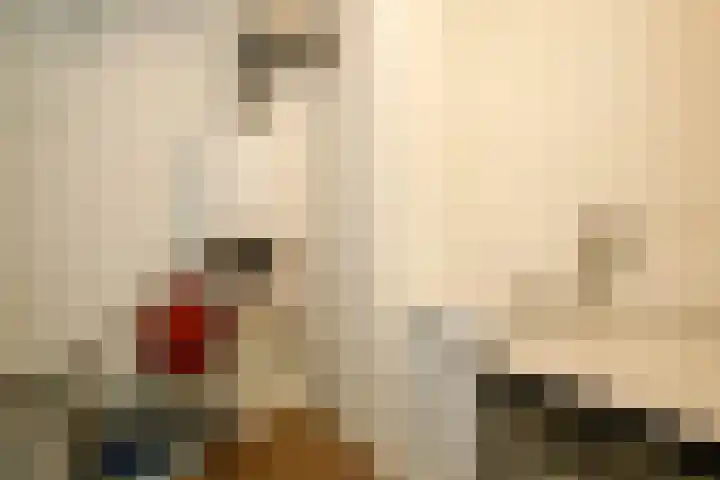Arend van Arkellaan 31 Bergambacht thumbnail 21
