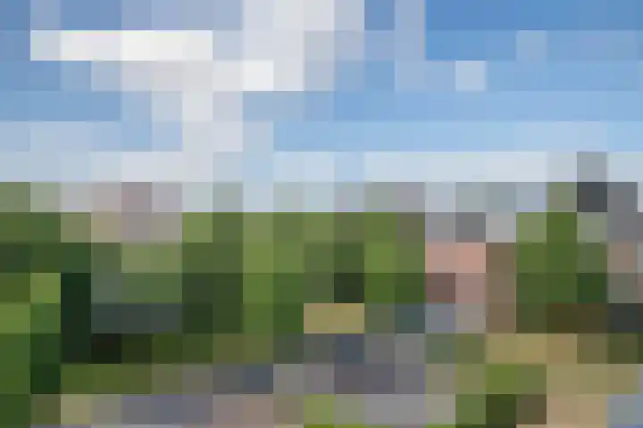 Arend van Arkellaan 31 Bergambacht thumbnail 29