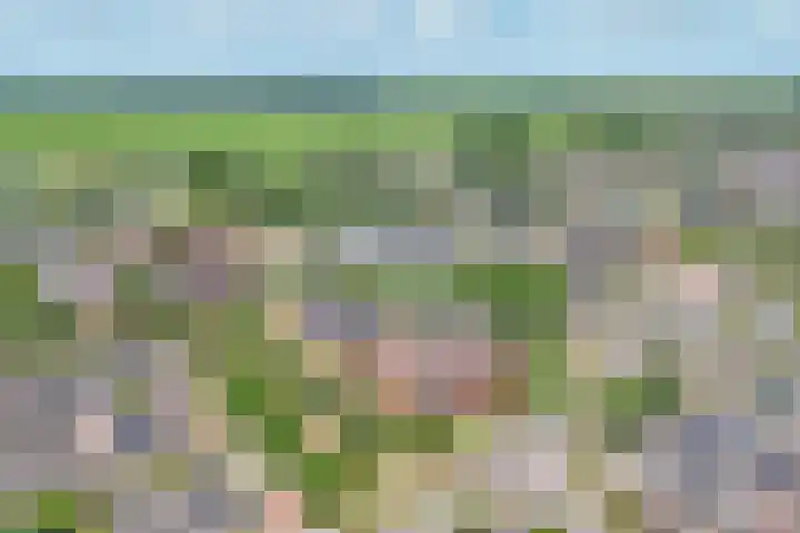 Arend van Arkellaan 31 Bergambacht thumbnail 36