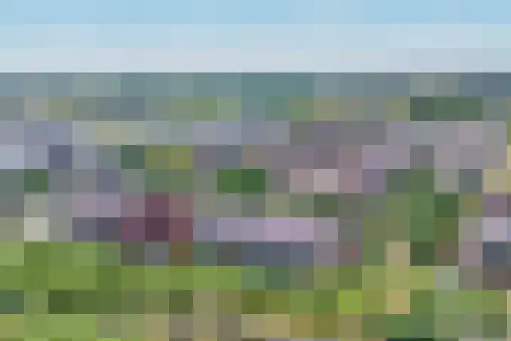 Arend van Arkellaan 31 Bergambacht thumbnail 37