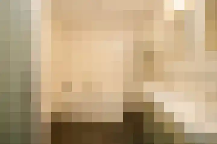 Arend van Arkellaan 31 Bergambacht thumbnail 4