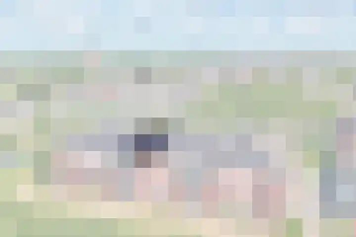 Arend van Arkellaan 31 Bergambacht thumbnail 5