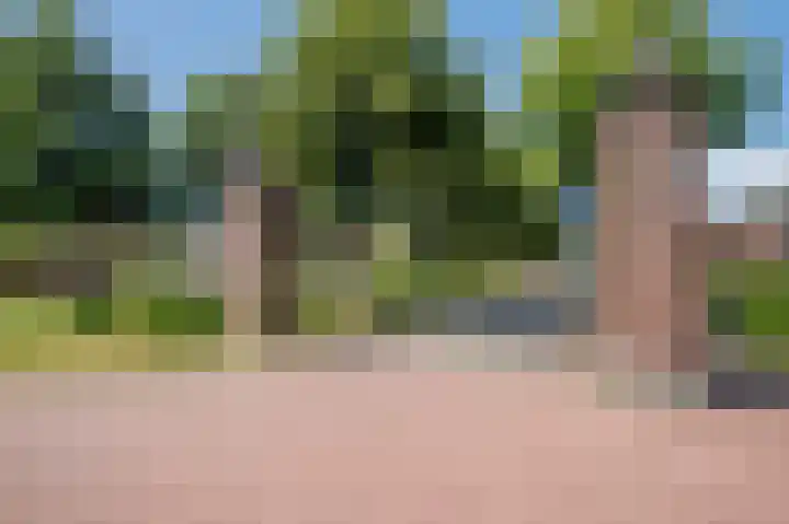 Arend van Arkellaan 31 Bergambacht thumbnail 6