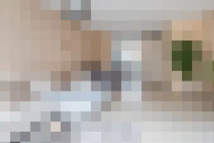 Arend Vijfvinkelplein 12 Den Haag thumbnail 11