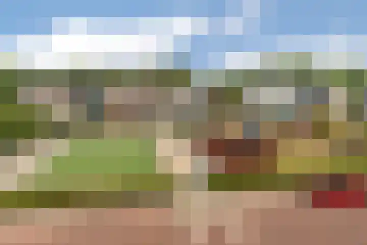 Arend Vijfvinkelplein 12 Den Haag thumbnail 4