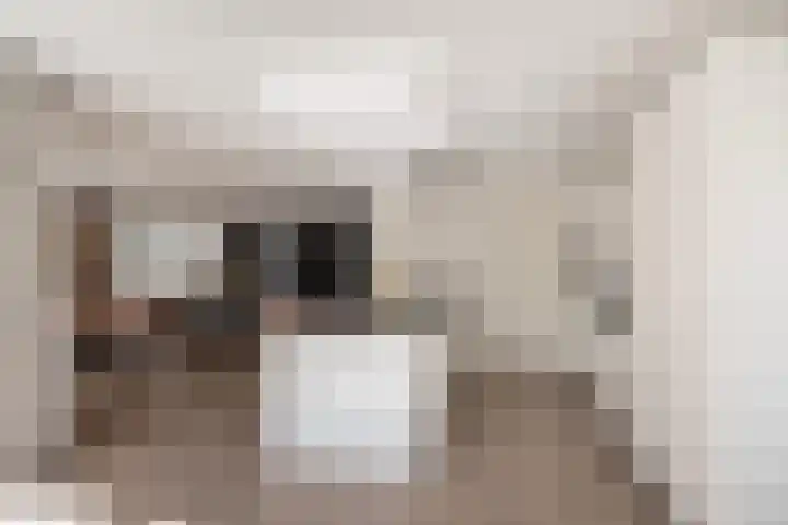 Arend Vijfvinkelplein 20 Den Haag thumbnail 11